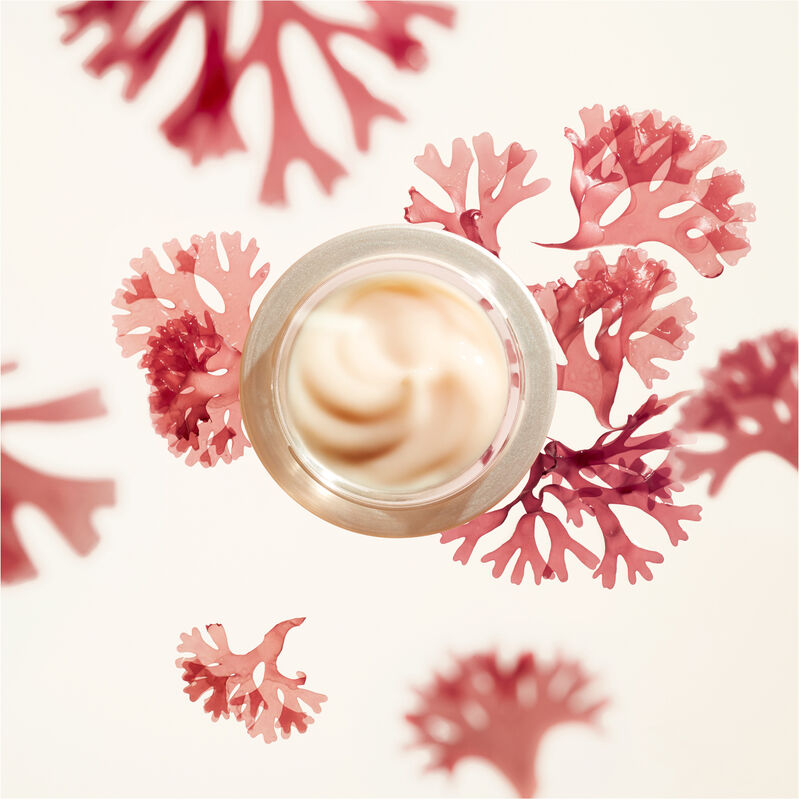 Shiseido Benefiance Wrinkle Smoothing Cream 75ml